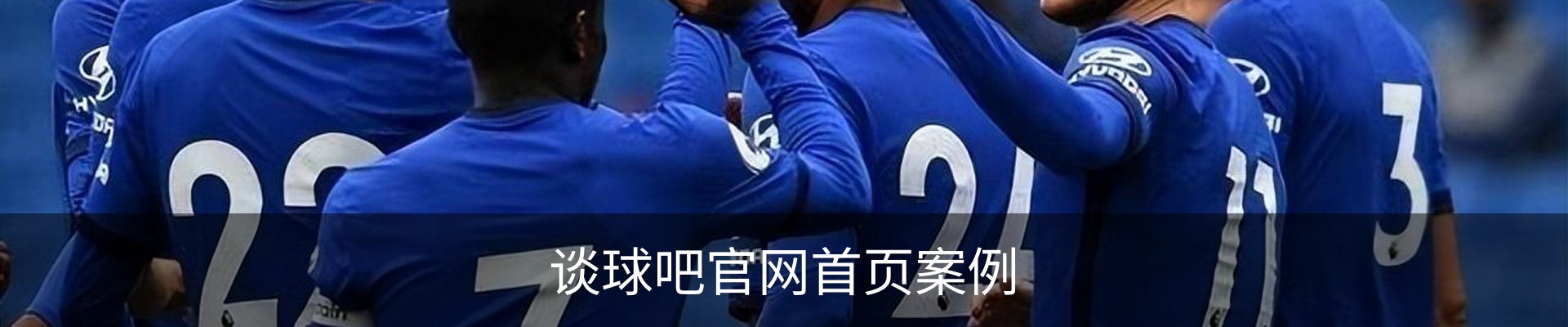 谈球吧官网首页案例